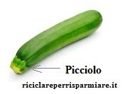 Zucchine per la preparazione delle zucchine a funghetto