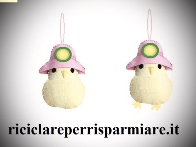 Pulcino pro