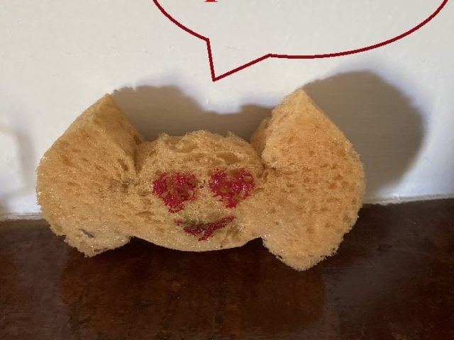 Spugna