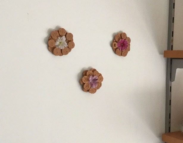 Fiori sul muro