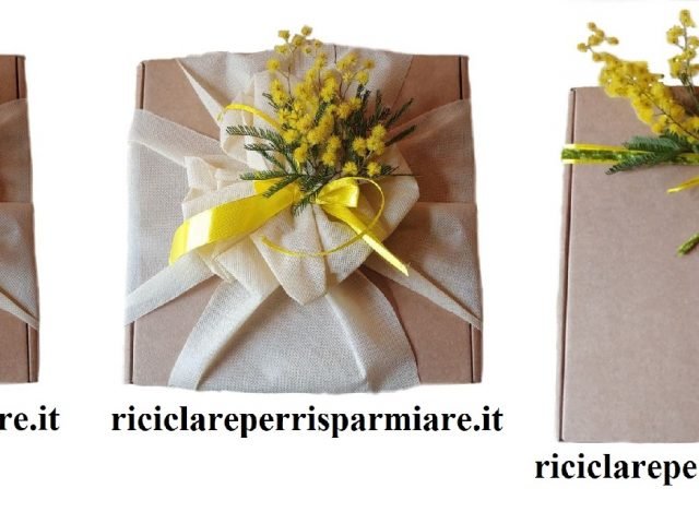 Regalare Mimosa