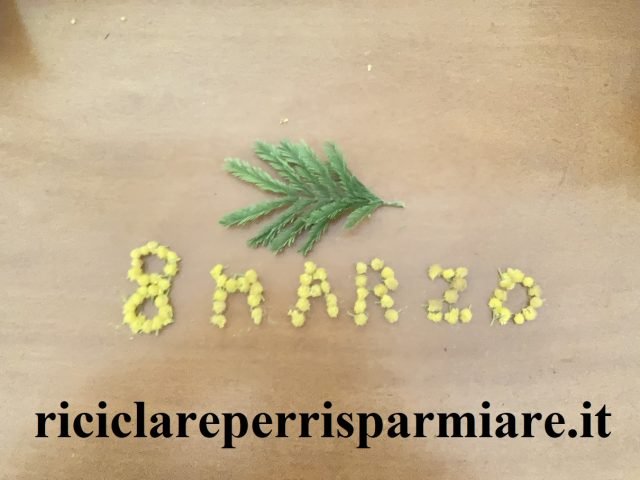 Fuoriporta con mimosa
