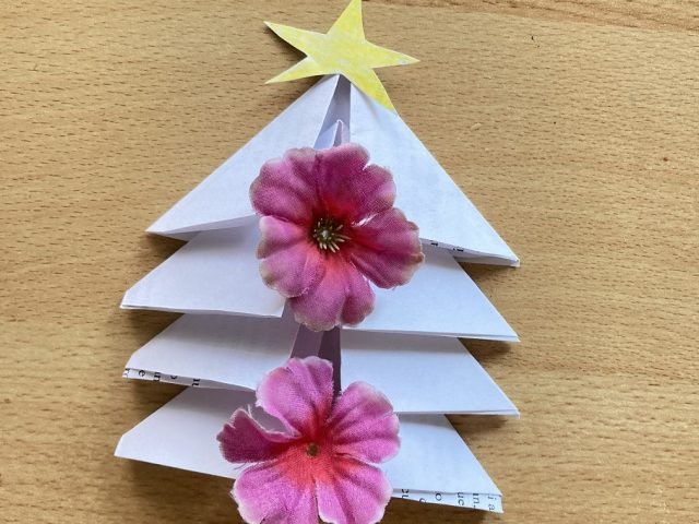 Albero Maria