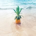 pineapple fruit on beach shore during daytime