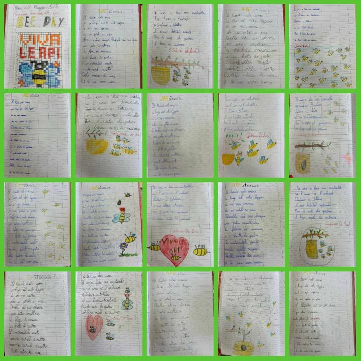 Primaria